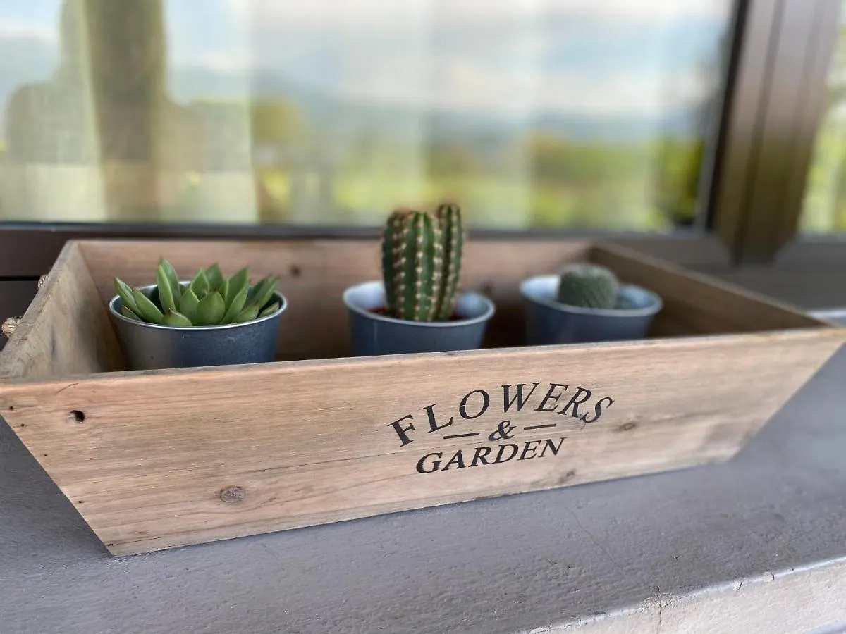 Flowers & Garden Apartment Con Vista Lago Manerba del Garda